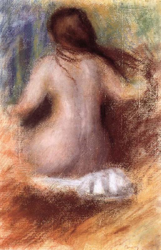 Pierre Auguste Renoir nude rear view Norge oil painting art